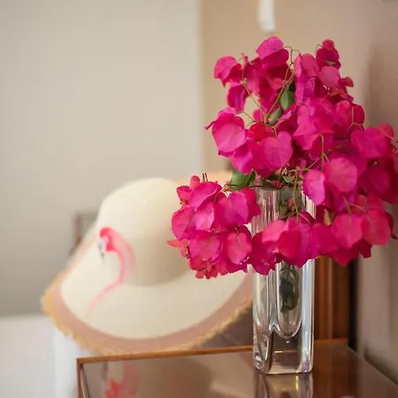 Almira 伊奥斯乔拉