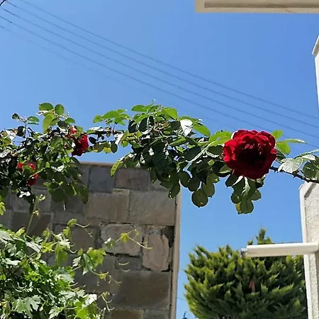 Zajazd Almira Ios